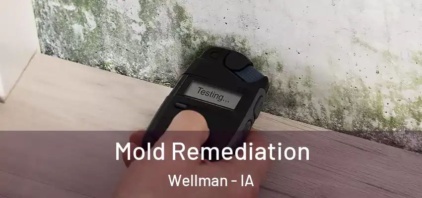 Mold Remediation Wellman - IA