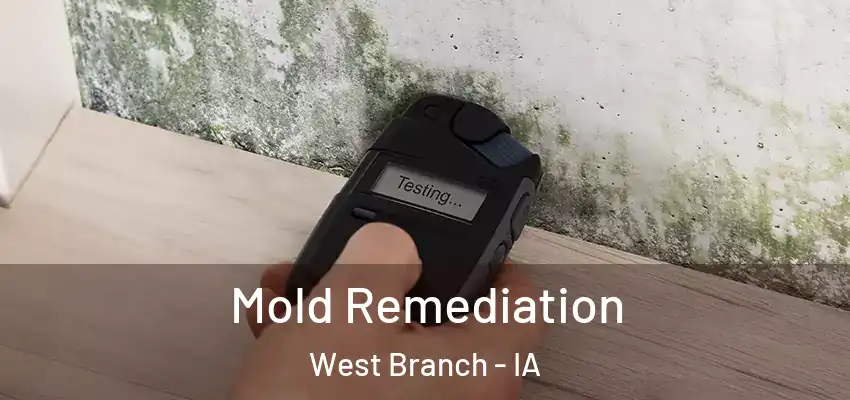  Mold Remediation West Branch - IA