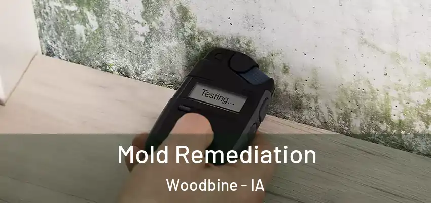Mold Remediation Woodbine - IA