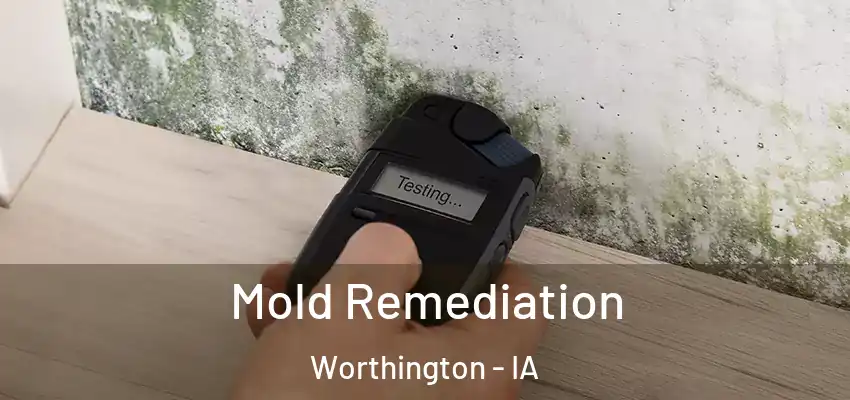  Mold Remediation Worthington - IA