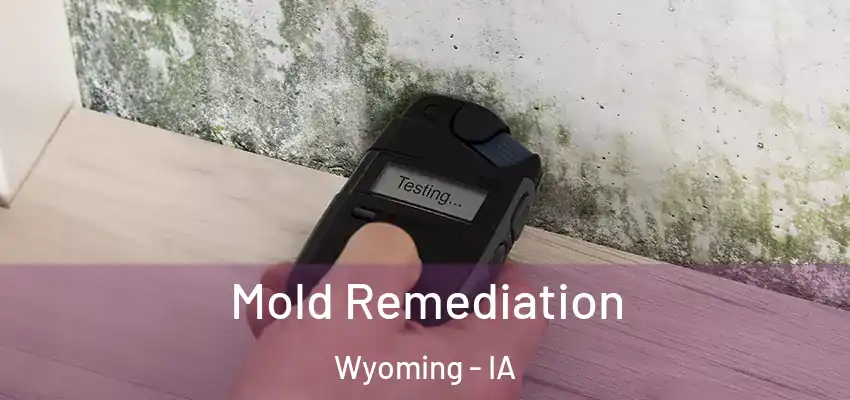  Mold Remediation Wyoming - IA