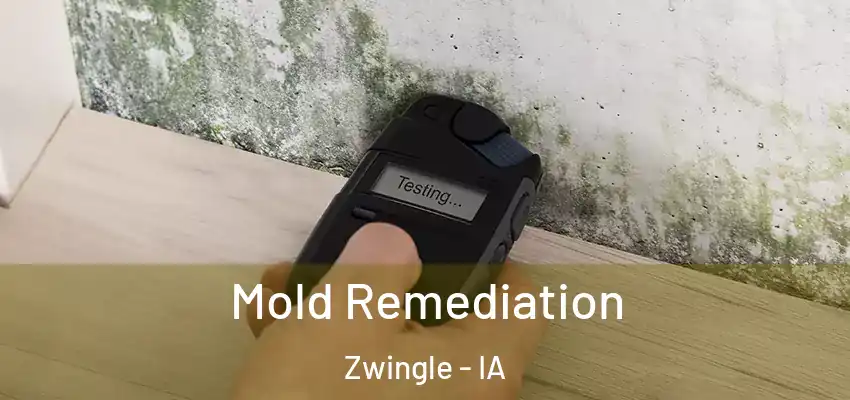 Mold Remediation Zwingle - IA