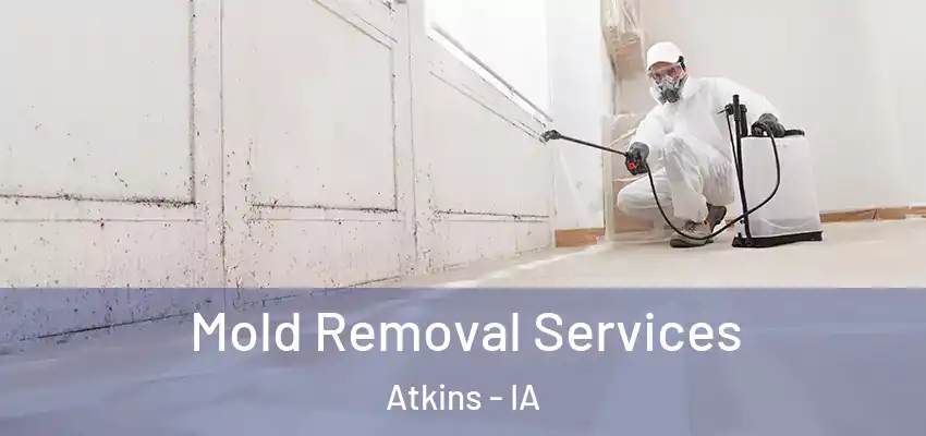  Mold Removal Services Atkins - IA