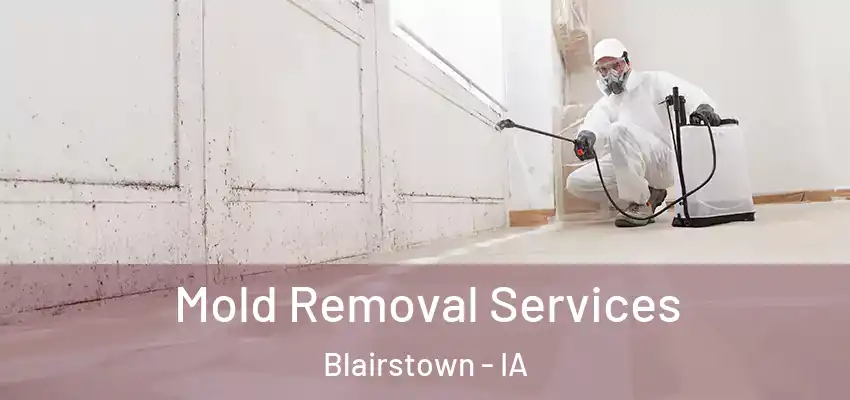  Mold Removal Services Blairstown - IA