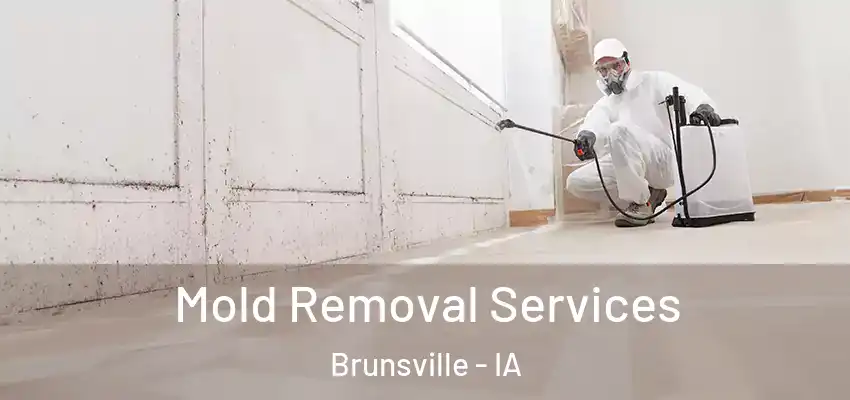 Mold Removal Services Brunsville - IA