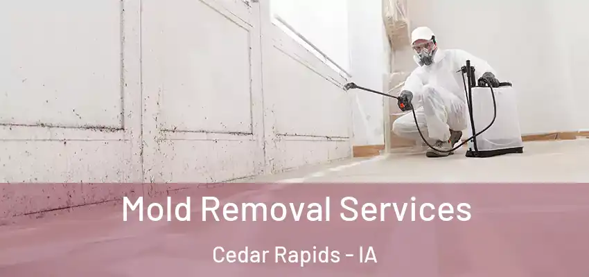  Mold Removal Services Cedar Rapids - IA
