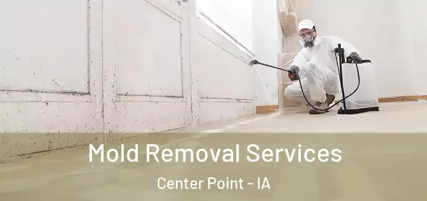  Mold Removal Services Center Point - IA