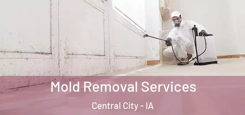 Mold Removal Services Central City - IA