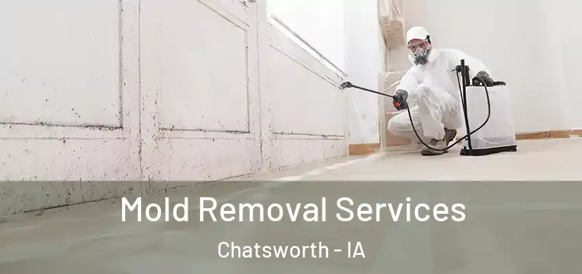  Mold Removal Services Chatsworth - IA