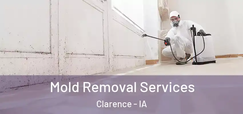 Mold Removal Services Clarence - IA