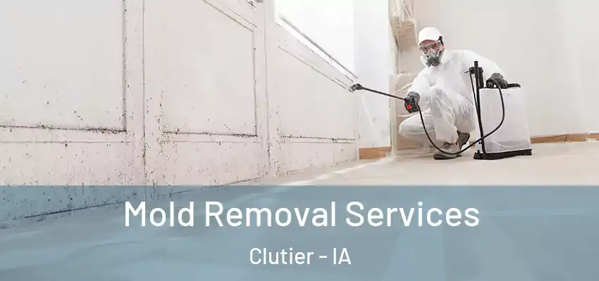 Mold Removal Services Clutier - IA