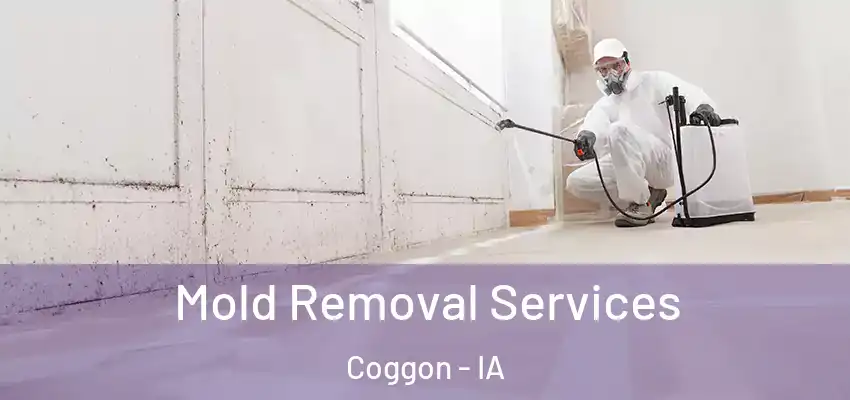  Mold Removal Services Coggon - IA