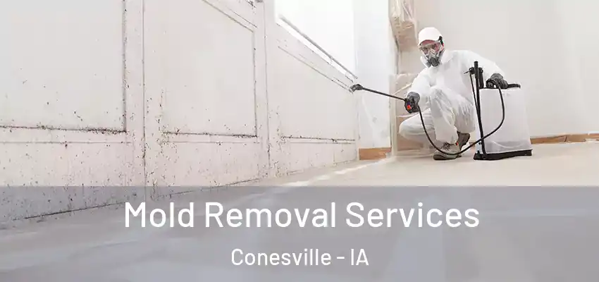  Mold Removal Services Conesville - IA