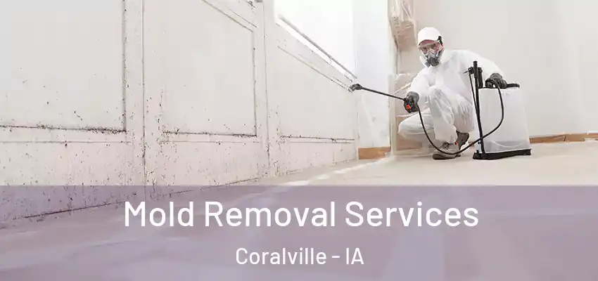  Mold Removal Services Coralville - IA