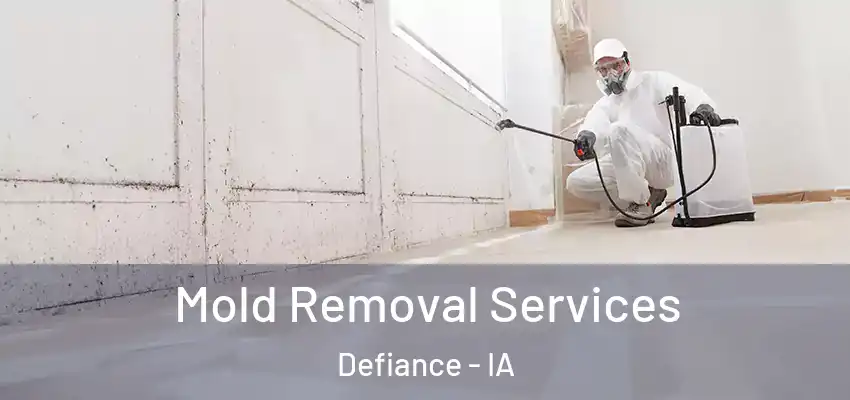 Mold Removal Services Defiance - IA