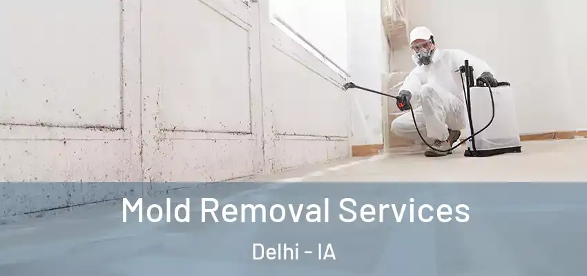  Mold Removal Services Delhi - IA