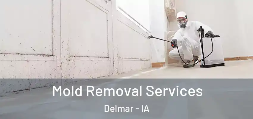  Mold Removal Services Delmar - IA