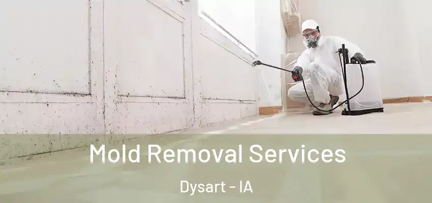 Mold Removal Services Dysart - IA