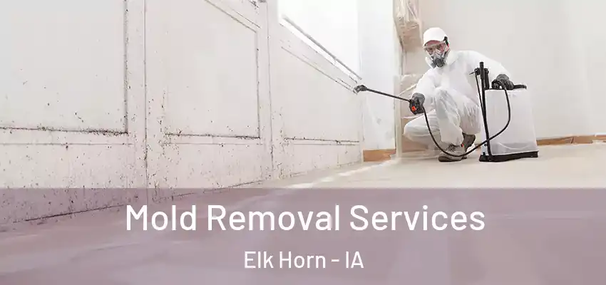  Mold Removal Services Elk Horn - IA