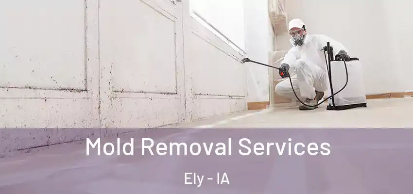 Mold Removal Services Ely - IA