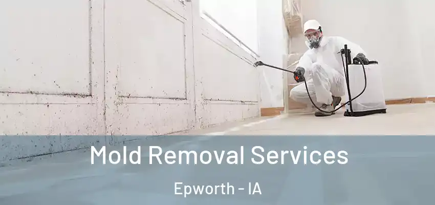  Mold Removal Services Epworth - IA