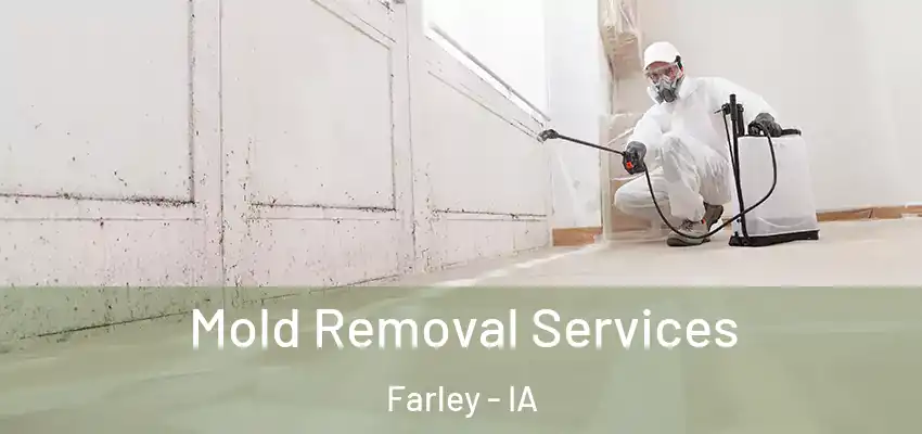  Mold Removal Services Farley - IA