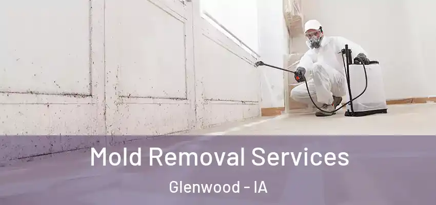  Mold Removal Services Glenwood - IA
