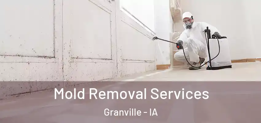  Mold Removal Services Granville - IA