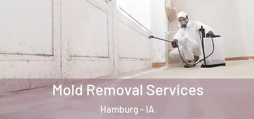  Mold Removal Services Hamburg - IA