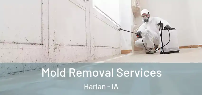 Mold Removal Services Harlan - IA