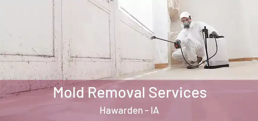  Mold Removal Services Hawarden - IA