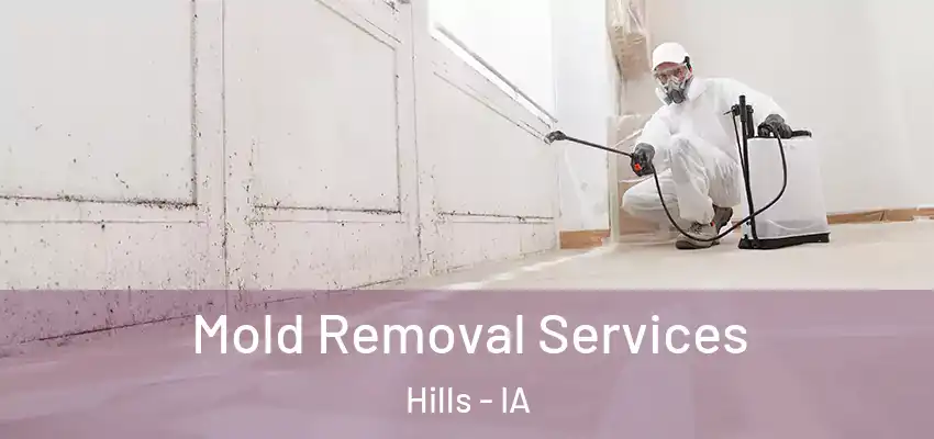 Mold Removal Services Hills - IA