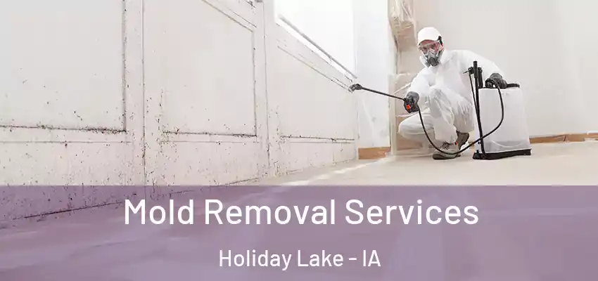  Mold Removal Services Holiday Lake - IA