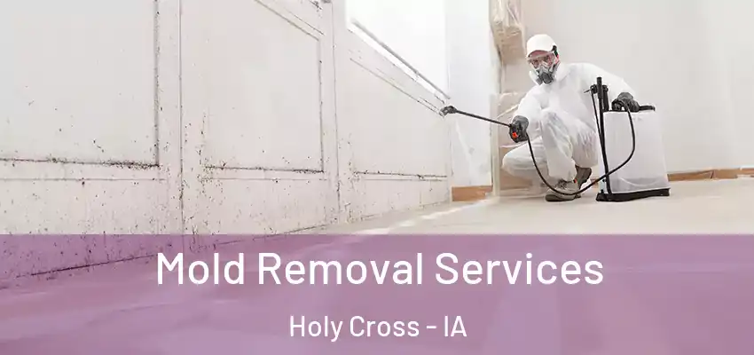 Mold Removal Services Holy Cross - IA