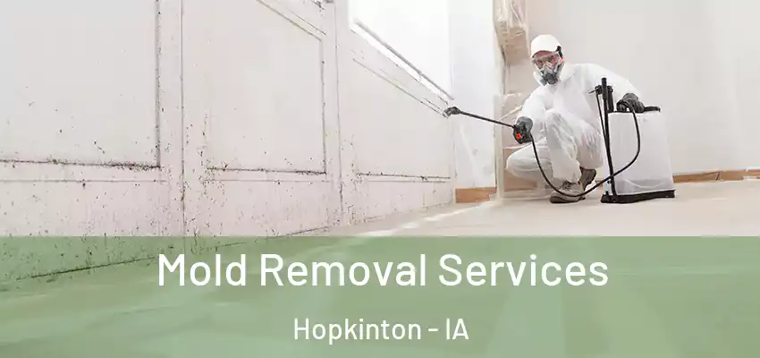 Mold Removal Services Hopkinton - IA
