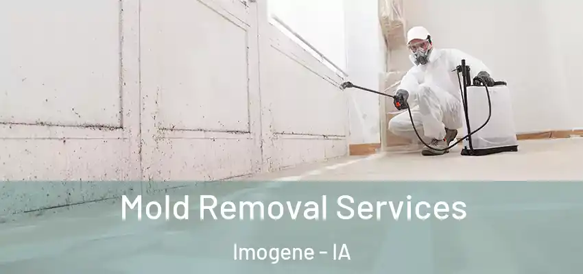  Mold Removal Services Imogene - IA