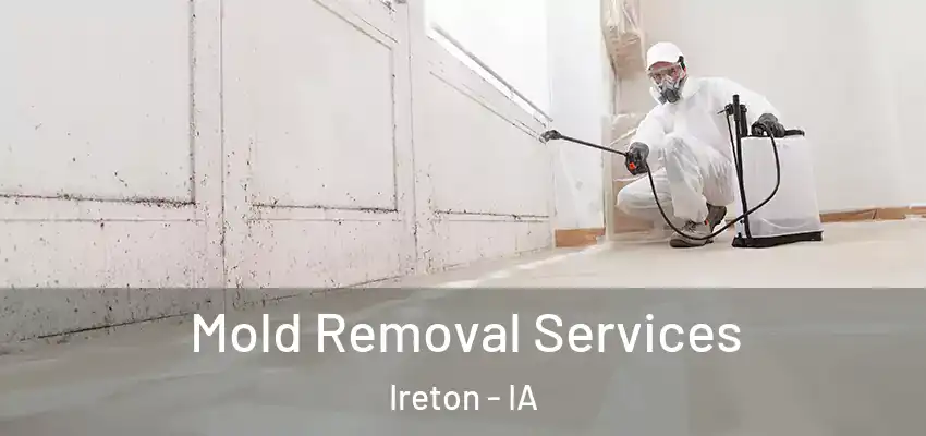 Mold Removal Services Ireton - IA