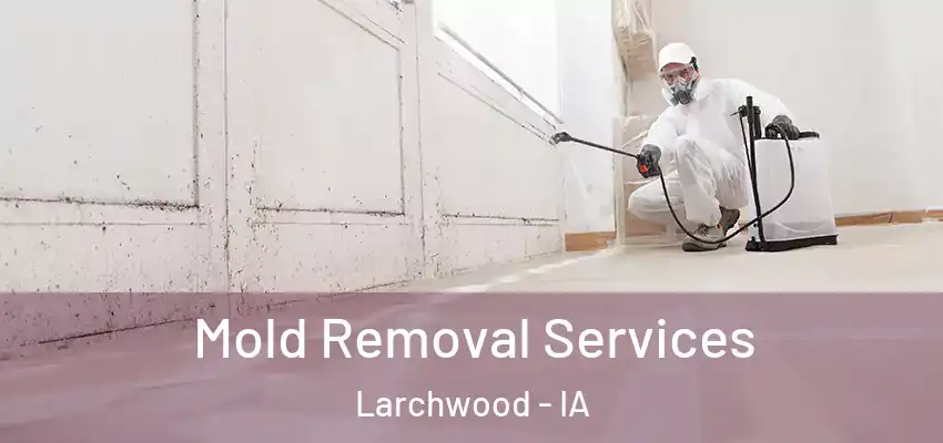  Mold Removal Services Larchwood - IA