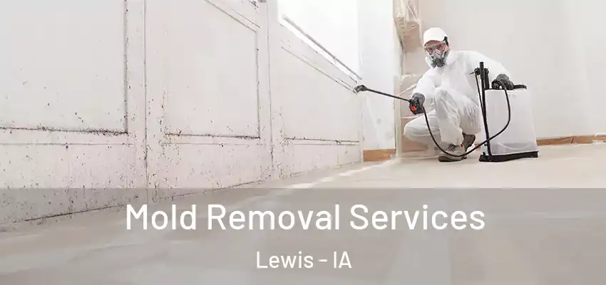 Mold Removal Services Lewis - IA