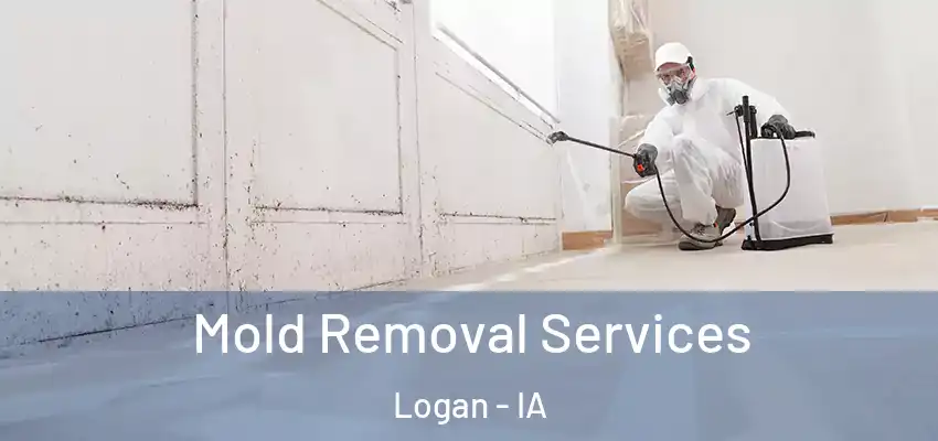  Mold Removal Services Logan - IA