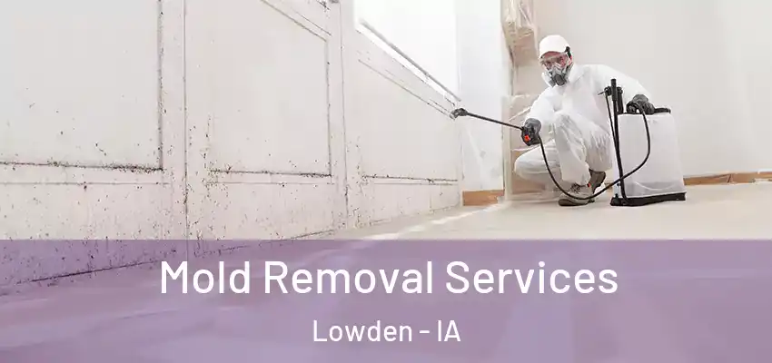  Mold Removal Services Lowden - IA