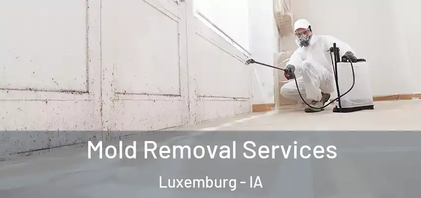  Mold Removal Services Luxemburg - IA