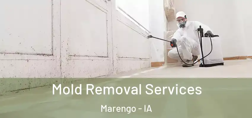 Mold Removal Services Marengo - IA