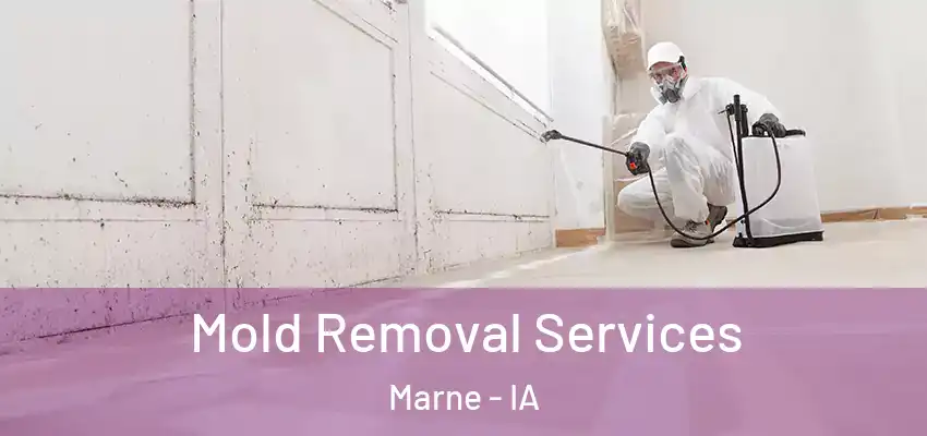 Mold Removal Services Marne - IA