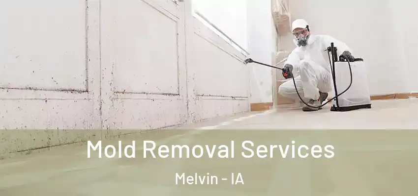 Mold Removal Services Melvin - IA