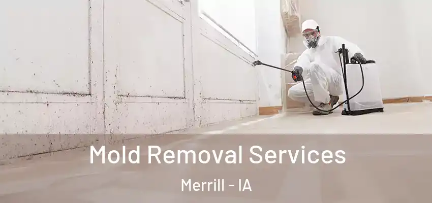 Mold Removal Services Merrill - IA