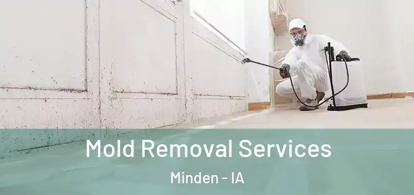 Mold Removal Services Minden - IA