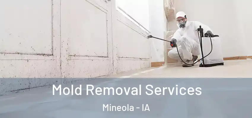  Mold Removal Services Mineola - IA