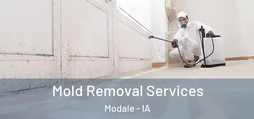  Mold Removal Services Modale - IA