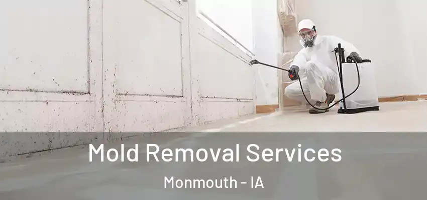  Mold Removal Services Monmouth - IA